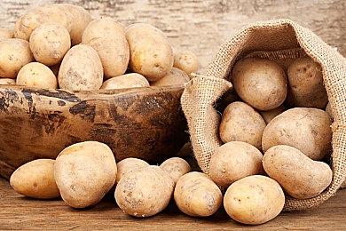 加档！《梦江湖》我的侠客单机版定制内容增加